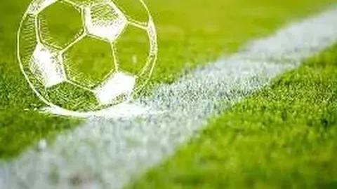 郑钦文女单八强惜败斯瓦泰克